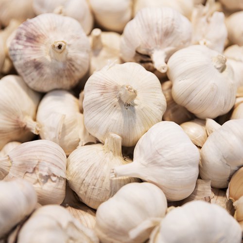 Garlic (Normal White Color)