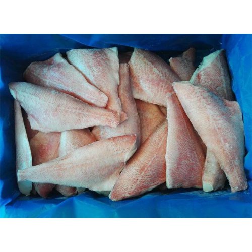 Frozen red fish with skin